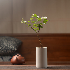 香氏茉莉花带盆栽好小盆栽四季常绿植物花卉开花不断绿植老桩盆景