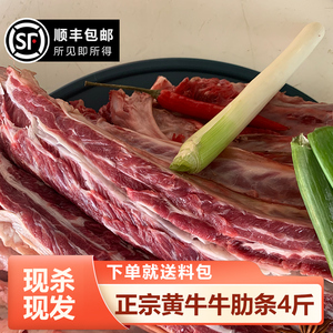 四斤整块原切牛肋条肉牛腩新鲜牛肉散养黄牛肉现杀现发送料包肋腩