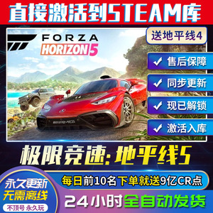 极限竞速地平线5 steam正版激活入库 非共享 终极版 在线联机全车