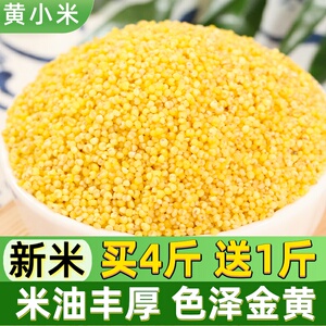 黄小米500g 新米小黄米 月子粥农家油脂小米粥糯粟米粗粮小米杂粮