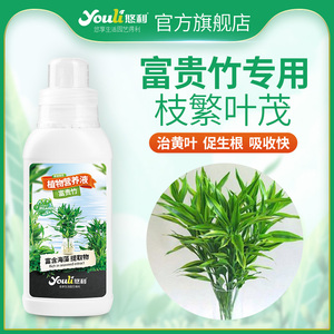富贵竹专用营养液水培植物生根的节节高水养水竹肥料盆栽绿植悠利