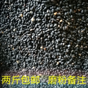 食用黑芝麻籽 500g 小熟黑