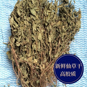 仙草干新鲜草干仙人草 广东凉粉草干 烧仙草原材料仙草蜜冻草粿草