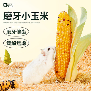 仓鼠粮食磨牙小玉米谷穗金丝熊龙猫豚鼠零食花枝鼠磨牙棒玩具用品