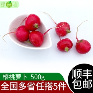 绿食者 樱桃萝卜500g 迷你小红萝卜水果萝卜新鲜生吃蔬菜沙拉食材