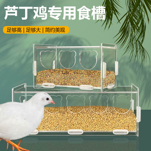 芦丁鸡盒亚克力芦丁鸡喂食器自动放粮食盆食盒食槽饲料盒造景装饰