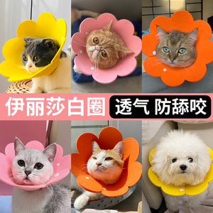 猫咪伊丽莎白圈项圈头套防舔脖圈猫用头套脖圈绝育用品宠物耻辱圈