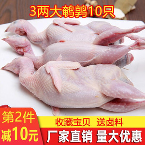 3两鹌鹑肉新鲜冷冻白条母鹌鹑活杀放血油炸烧烤煲汤生骨肉10只