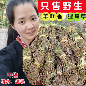 瑶山纯野生狸尾草羊咩香自然晾晒干货煲水煲汤养生中草药500克