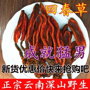 回春草野生不老草云南500g顶天柱男性滋补肉苁蓉泡酒配方水煲汤料