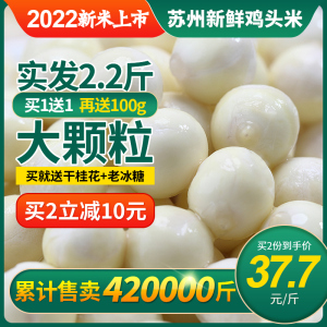 发2.2斤 鸡头米2022新鲜苏州特产大颗粒芡实新鲜非手剥特级鸡米头