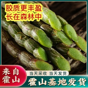 买3送2正宗霍山铁皮石斛鲜条新鲜官方正品中药材旗舰店枫斗粉500g