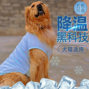 狗狗衣服夏季薄款宠物凉凉衣小中大型犬轻薄背心金毛防晒猫咪背心