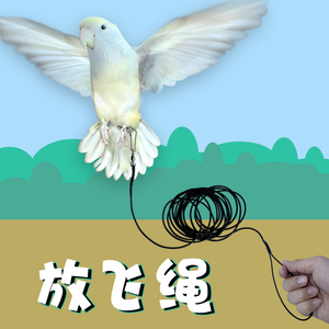 包邮鹦鹉鸟用牵引弹力绳弹簧绳3米10米外出放飞绳轻巧脚环