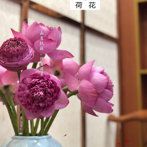 泰国莲花鲜花速递全国蟠桃重瓣白色粉色荷花莲蓬家庭用花5支新品