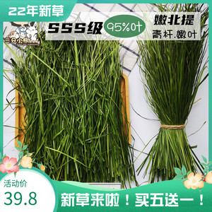 3S低温烘干提摩西草青杆嫩叶兔子豚鼠龙猫牧草 整齐香甜400克包邮