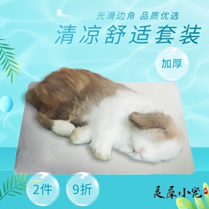 兔子降温板冰窝冰垫夏天消暑龙猫冰盒宠物散热板仓鼠冰屋夏季用品