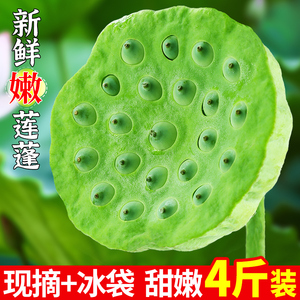 新鲜水果莲蓬4斤当季现摘湘莲生吃甜嫩莲子米太空莲蔬菜整箱3包邮