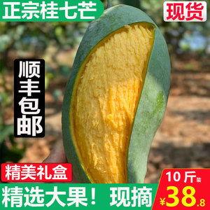 正宗广西田东桂七芒果10斤精选大果新鲜水果包邮香芒核薄小桂七芒