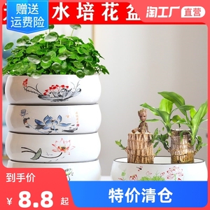 水培花盆一叶莲铜钱草金钱水仙创意绿萝无孔陶瓷大号碗莲睡莲特价