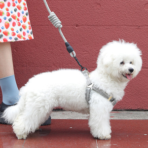 狗狗牵引绳胸背带背心式狗链子小型犬泰迪柯基遛狗可调节狗绳子