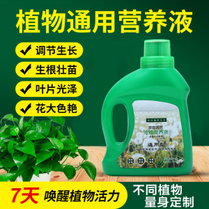 绿萝营养液花卉肥料盆栽通用型水培植物富贵竹养花发财树园艺肥料