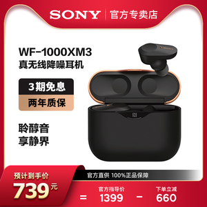 Sony/索尼 WF-1000XM3 真无线蓝牙降噪耳机入耳式 主动降噪豆