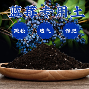 蓝莓专用土蓝莓土盆栽蓝莓用土壤弱酸性泥土种植土有机营养土肥料