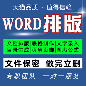 word排版格式修改人工打字录入excel表格代画流程图制作pdf转word