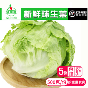 【好新鲜蔬菜】球生菜西生菜圆生菜汉堡包菜沙拉西餐满额包邮500g