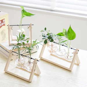 创意水培植物绿萝办公室内桌面小清新绿植盆栽花卉玻璃瓶木架摆件