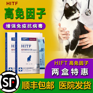 HITF高免因子猫用营养补充剂猫咪口炎杯状鼻支抗病毒猫癣增强免疫