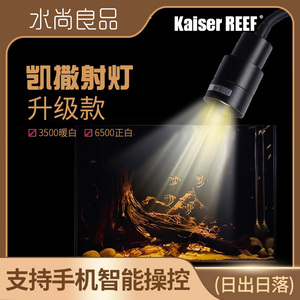 Kaiser凯撒 鱼缸射灯南美缸射灯三湖原生异形鼠鱼LED小型观赏夹灯