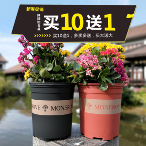 加仑花盆绿萝植物种植园艺工具多肉PP塑料黑色红色通用盆