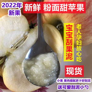 2022新果粉面沙甜苹果宝宝刮泥婴儿老年人吃的新鲜绵水果包邮孕妇