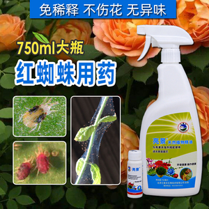 亮景白蜘蛛红蜘蛛专用叶螨月季玫瑰植物花卉杀虫剂喷雾除虫花药