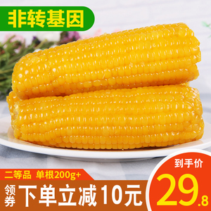 【非转基因】禾久黄糯新鲜甜糯即黏玉米棒粗粮食真空10条装包邮