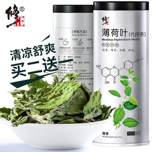 买2送1薄荷茶新鲜干薄荷叶可食用泡水喝茶非特级凉茶冷萃薄荷叶