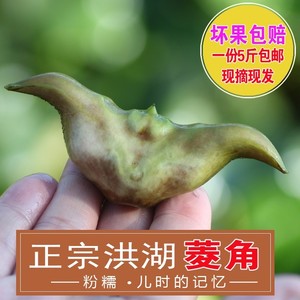 湖北老菱角洪湖特产农家 新鲜青菱角粉糯黑菱角野生新鲜棱角凌角