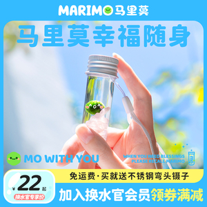 Marimo马里莫「with随身瓶」口袋宠物趣味水培好养幸福海藻球盆栽