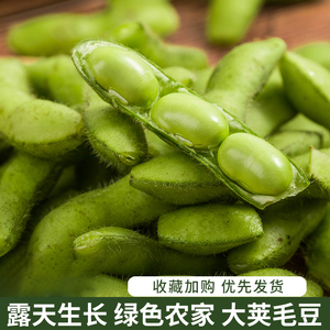 苏北特产毛豆带壳蔬菜新鲜农家菜现摘豆角大豆豆荚凉拌菜