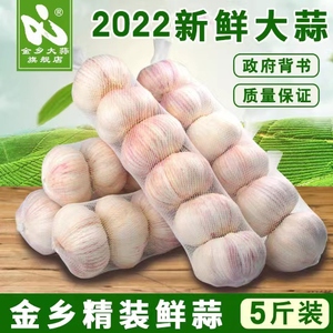 特级大蒜2022山东金乡大蒜新蒜干蒜紫皮大蒜大果精品包装 五斤装