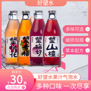 好望水望山楂气泡水饮料300ml*6瓶梅好杏福网红0脂肪解腻果汁汽水