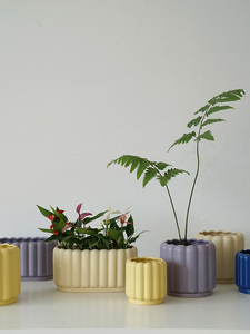 植物私生活 2021FW/多色可露丽饼干款设计陶瓷花盆花篮花槽带托盘