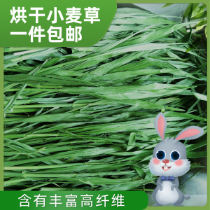 2022年烘干小麦草干草兔子龙猫荷兰猪牧草新草饲料粮食毛重1000g