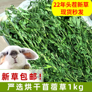 22年紫花苜蓿草干草毛重1kg兔子豚鼠荷兰猪龙猫饲料兔子草粮苜宿