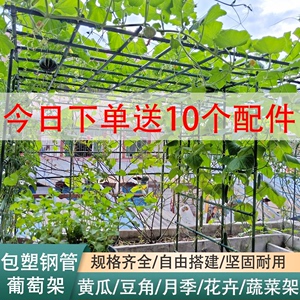 爬藤架葡萄架庭院户外豆角黄瓜西红柿种菜攀支撑杆牵引园艺花支架