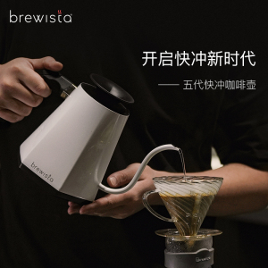 Brewista五代快冲咖啡壶智能温控手冲壶家用不锈钢细长嘴泡茶壶