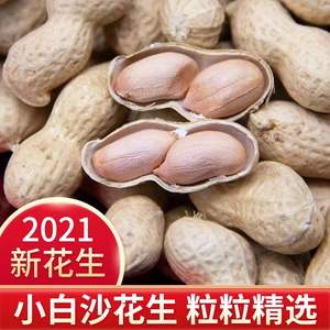 2021生花生带壳种子级干花生农家晒干新鲜原味小白沙新货水煮薄壳