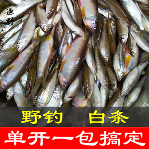 渔野单开钓白条饵料白条浓腥饵料专杀白条鱼饵钓餐条饵料小鱼窝料